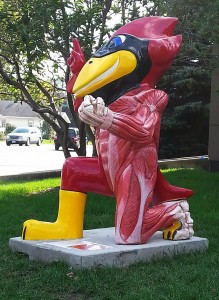 Outside Mary Greeley Medical Center, well known as the birth site of our sons.  (At least well known around our house.)