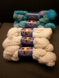 Alpaca skeins to add to my stash! The cream-color has a silver filament woven into it. (Gotta love the bling.) The variegated skeins are from Mr. Snuggles, and the hand-dyed colorway is called Paradise. I was thrilled with the purchase, especially since the prices were so reasonable and I was able to support a local effort.