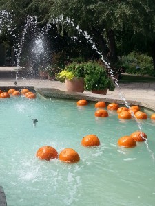 The fountain in the park reflects the season.