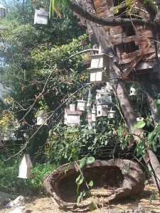 Our "neighbor" has quite a birdhouse collection.